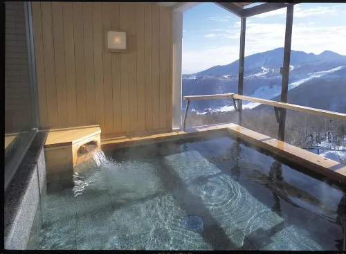 Hotel Higashidate - spa