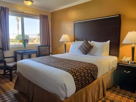 Silver Surf Motel Отели рядом с достопримечательностью «Friends Of The Elephant Seal»