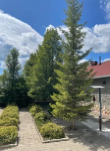 Arslan Hotels in Beloretsky District