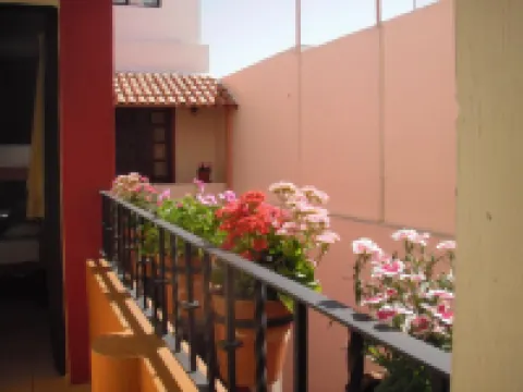 Olga Querida B&B Hostal