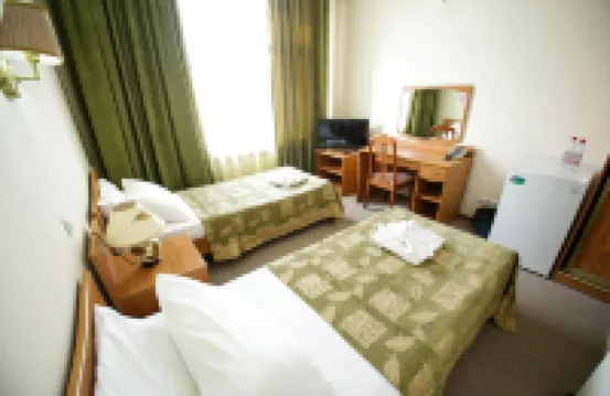 Victoria Palace Hotels in 
