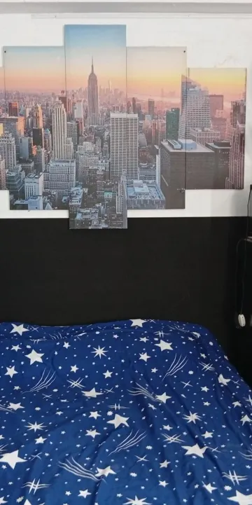 ห้องขนาดเล็ก เตียงใหญ่