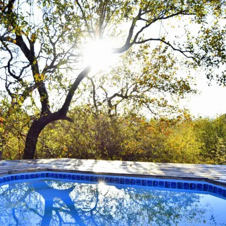 Thulani Game Lodge and Eco Estate