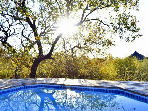 Thulani Game Lodge and Eco Estate - breakfast