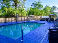 莫比爾西- I-10智選假日套房飯店