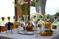 Elk Cove Inn & Spa Hotels in Elk