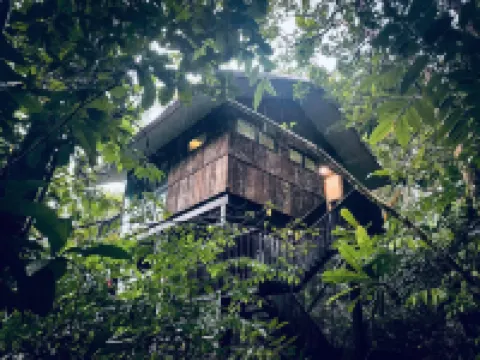 パーマイ・レインフォレスト・リゾート ダマイ・ビーチ周辺のホテル