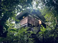 Permai Rainforest Resort