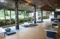 The Forest Elephant - Formerly Known As the Flying Elephant