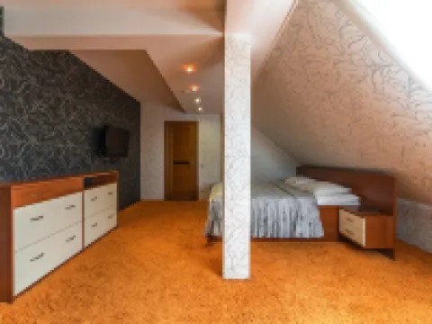 Karkushin Dom Hotel Hotels in Pskov