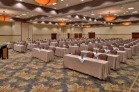 Holiday Inn Stevens Point - Convention Ctr Hôtels à : Stevens Point