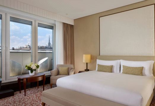 더 리츠칼튼 비엔나