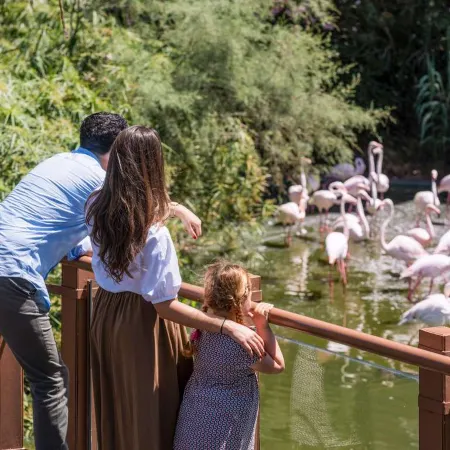 Sofitel Rabat Jardin des Roses