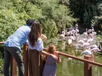 Sofitel Rabat Jardin des Roses - Scenic