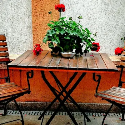 Bucur 9 Hotels near Sun Plaza