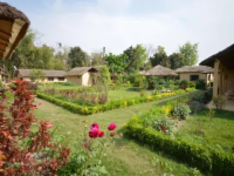 Racyshade Resort- Bardia National Park Hotels in Bardia