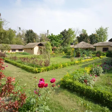 Racyshade Resort- Bardia National Park