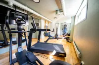 Klingenberg Hotel - gimnasio