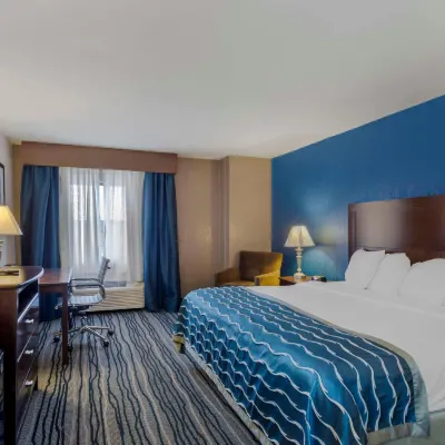 Comfort Inn & Suites Отели рядом с достопримечательностью «Исторический Дом-Музей Травеллерс Рест»