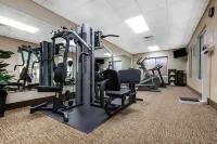Comfort Inn & Suites Porter Near Indiana Dunes - Gym