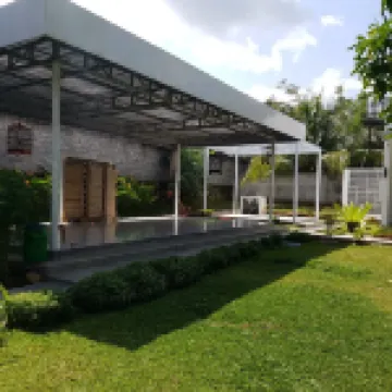 The Mulyo