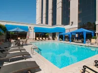 Hilton Jackson - Pool