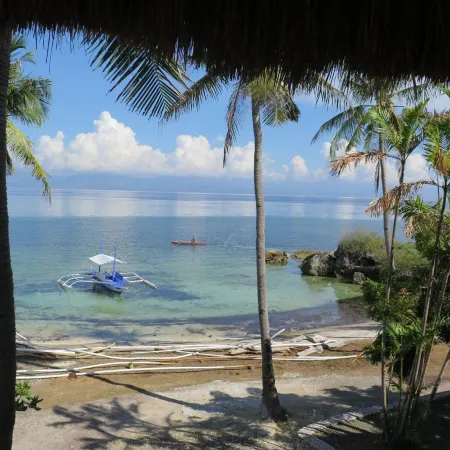 The Wild Orchid Resort - Moalboal