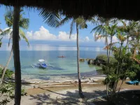 The Wild Orchid Resort - Moalboal - Beach