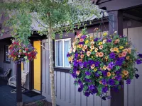 Gannett Peak Lodge - 2-Sterne