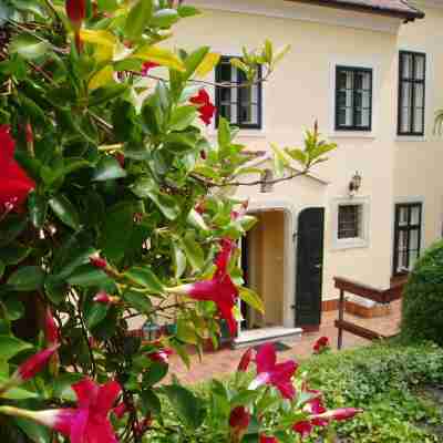 Hotel Wollner Hotel Exterior