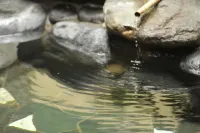 Pension Totem Pole - Bathtub