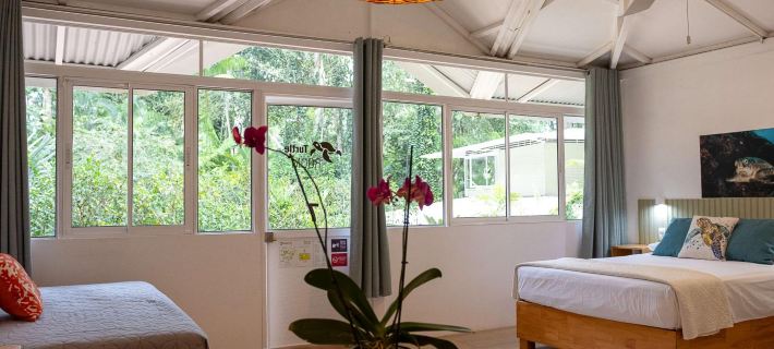 Jaguar Inn Bungalows Hotels in Cocles