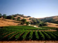 Country Pleasures Bed and Breakfast