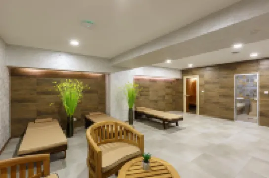 瑞尼海爾斯飯店