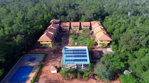 Paradise Auro Jungle Resort