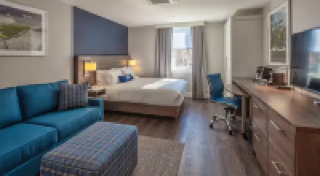 Scholar State College, Tapestry Collection by Hilton