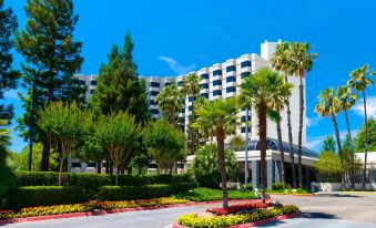 Sacramento Marriott Rancho Cordova