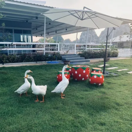 Rock Resort Ratchaburi