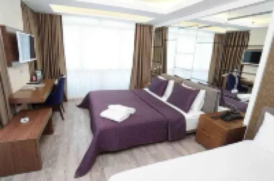 Atakum Palas Hotel 住宿飯店