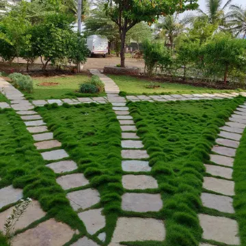 Sabala Heritage Home