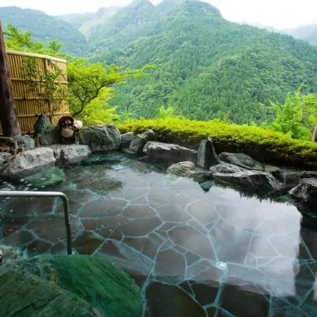 SHINIYAONSEN HOTEL KAZURABASHI