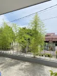 Pavo Guest House