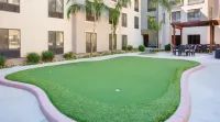 Homewood Suites by Hilton Phoenix-Avondale - Wifi