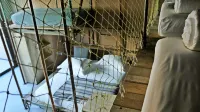 Noah Surf House Portugal Hotels in Sao Pedro Da Cadeira