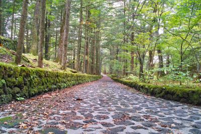 ホテル周辺 軽井沢マリオットホテルの写真