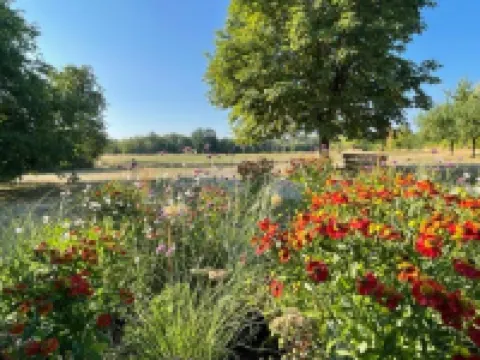 蓋斯特豪弗林頓和威爾德克奧特酒店