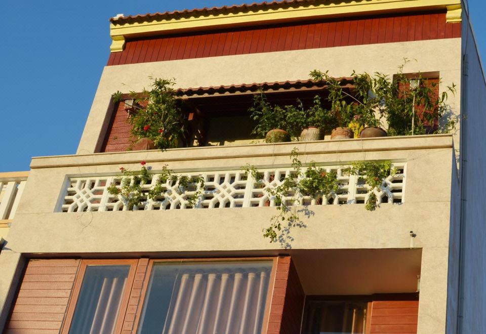 판다 가든의 정원 또는 휴식 공간 사진