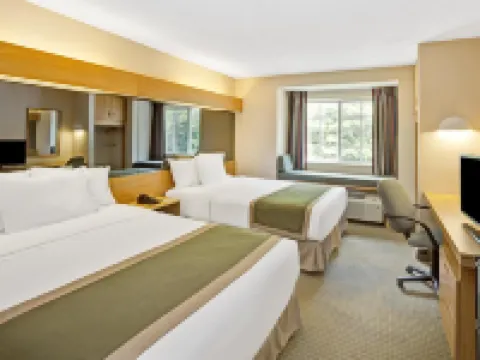 Microtel Inn & Suites by Wyndham Raleigh Durham Airport Hotels in Morrisville
