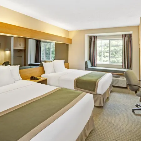 Microtel Inn & Suites by Wyndham Raleigh Durham Airport Hotels in Wake County