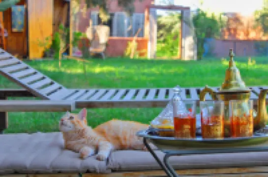 Riad Salix d'Agafay Hotels in Tameslouht